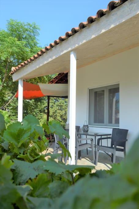 Litochoro Apartment In Estate A1 Екстериор снимка